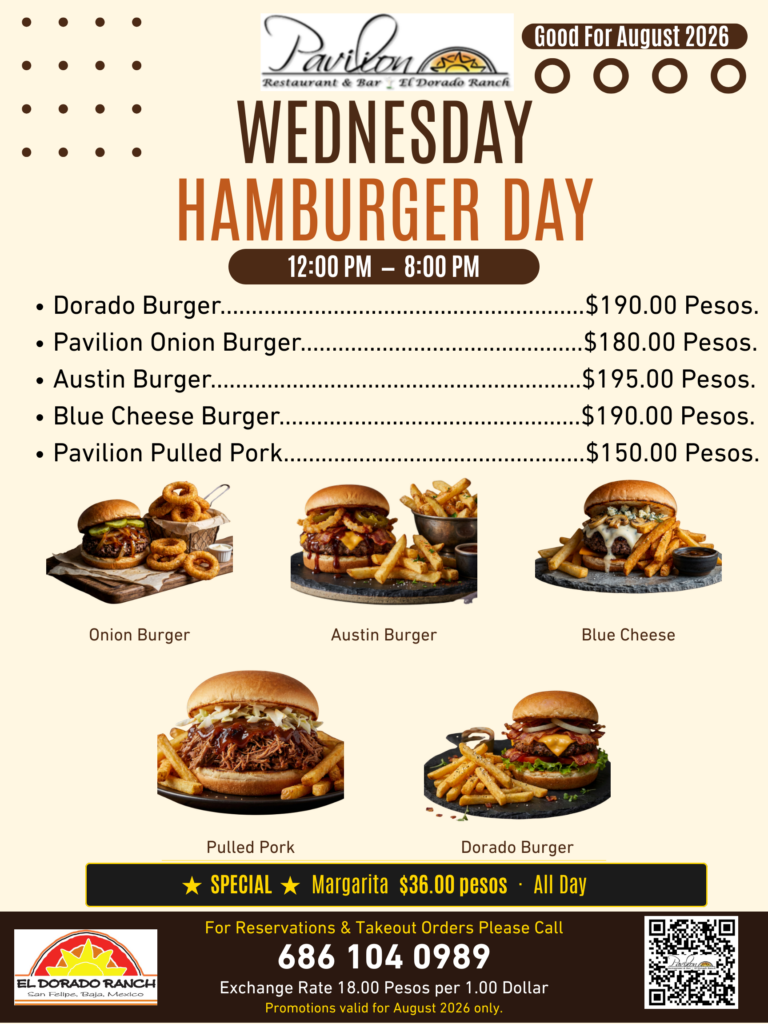 Yellow And Brown Illustrative National Hamburger Day Poster (4)