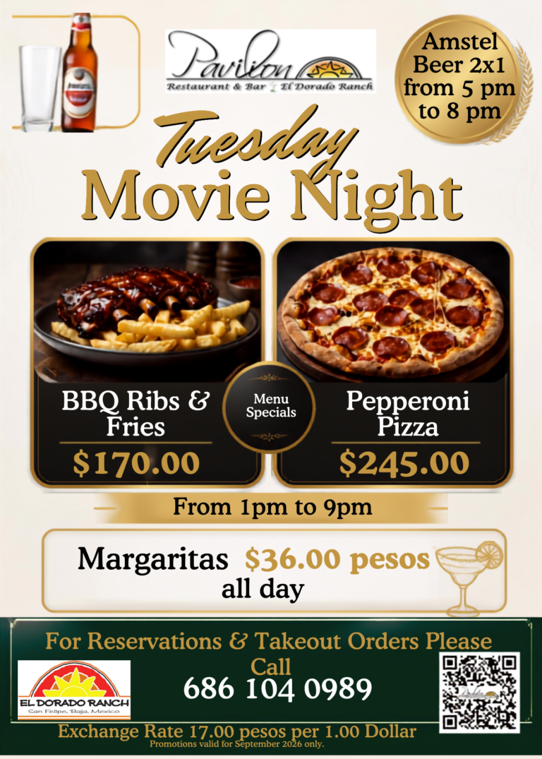 Blue Black Bold Illustrative Movie Night Invitation (6)