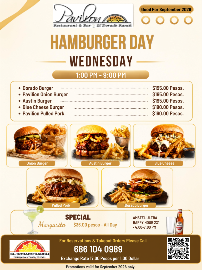 Yellow And Brown Illustrative National Hamburger Day Poster (6) (Medium)