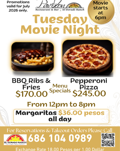 Blue Black Bold Illustrative Movie Night Invitation (3)