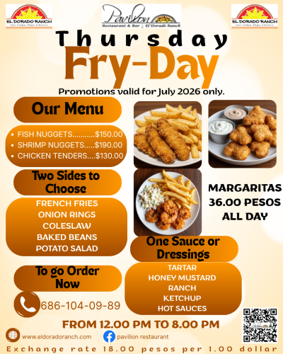 Brown And Beige Modern Fish Fry Spring Menu Instagram Post (3)
