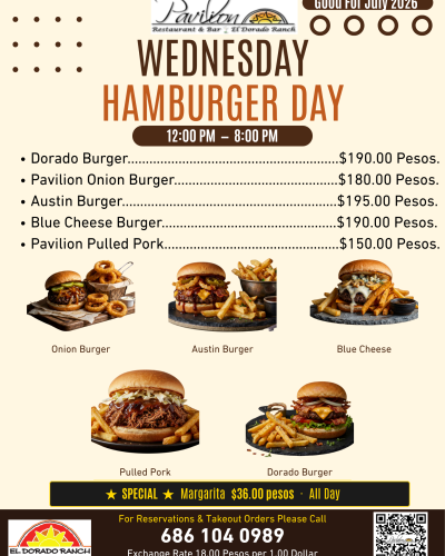 Yellow And Brown Illustrative National Hamburger Day Poster (3)